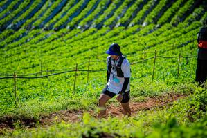 BIB: 
                            <button type="button" onclick="openModal(19161755)" class="btn btn-primary btn-sm float-right btn-popup" data-toggle="modal" data-target=".modal-high-quality">
                        <i class="fas fa-shopping-cart"></i> Add to Cart
                    </button>
                                            <button type="button" onclick="isThisMe(19161755, true)" class="btn btn-success btn-sm float-right btn-popup btn-isme hidden" data-toggle="tooltip" data-placement="bottom" title="นี่คือรูปของคุณใช่ไหม คลิกที่นี่เพื่อเอาเข้าอัลบั้ม">
                        <i class="fas fa-plus"></i> Add to album
                    </button>
                    <button type="button" onclick="isThisMe(19161755, false)" class="btn btn-warning btn-sm float-right btn-popup btn-isnotme hidden">
                        <i class="fas fa-ban"></i> Remove from album
                    </button>